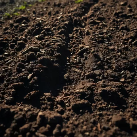 Jak Odchwaścić Ziemię Pod Trawnik