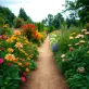 Ogród Botaniczny W Łodzi